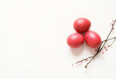 Red eggs with branch on white background for celebration