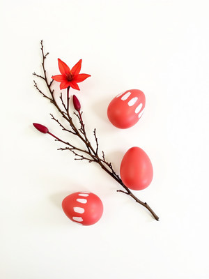 Colorful decorative eggs and flowers on white background