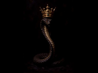 Crowned serpent stands regal against dark backdrop