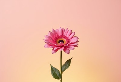 Bright pink flower against a soft pastel background