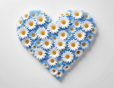 Heart shape filled with white daisies and blue flowers