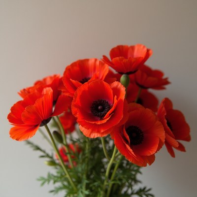 Bright red poppies in a simple vase arrangement