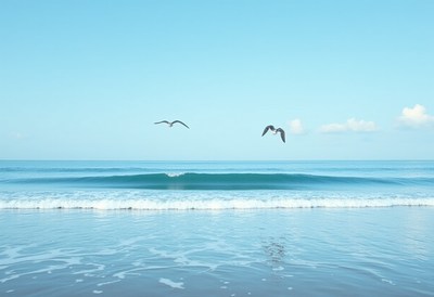 Ocean waves and birds flying over serene beach view