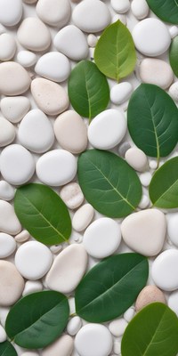 Leaf and pebble decor for garden design