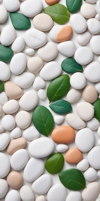 Pebbles and leaves make a calming display