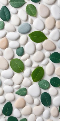 Natural elements on a surface with pebbles and leaves
