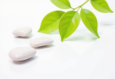 Decorative stones and green leaves on a white surface