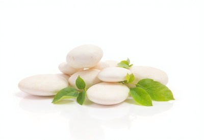 White stones with green leaves in a minimalist display