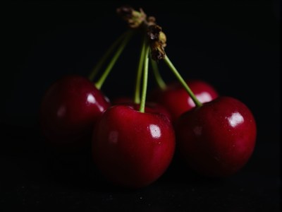 Fresh cherries beautifully arranged on a dark background
