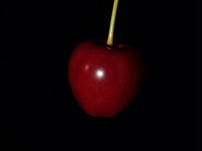 Vibrant red cherry against a dark backdrop