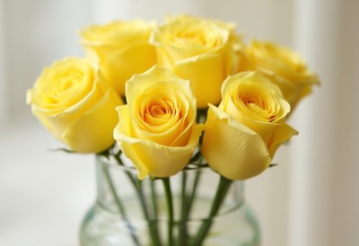Bright yellow roses arranged in a glass vase on a table