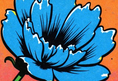 Bright blue flower on a vibrant orange background