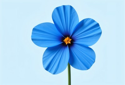 Bright blue flower stands out against a light background