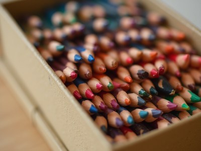 Colorful pencils neatly arranged in a box