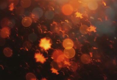 Captivating autumn lights create a warm atmosphere