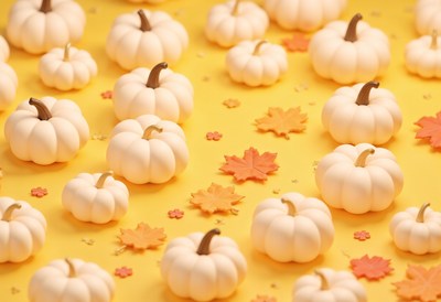White pumpkins and autumn leaves arranged for decoration