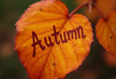 Autumn leaf with handwritten text in vibrant colors