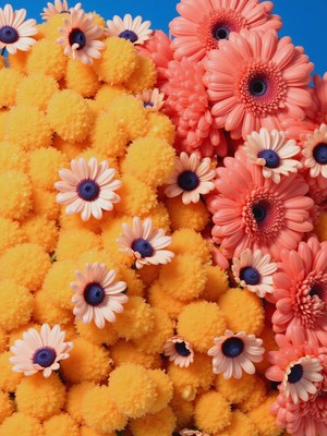 Colorful arrangement of vibrant flowers and pom-poms