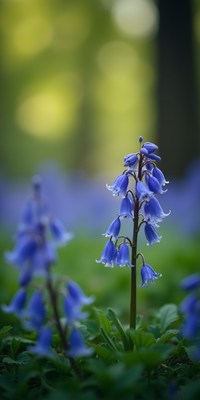 Beautiful bluebells blooming in a serene forest setting