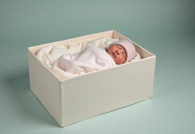 Newborn baby peacefully resting in a cozy box
