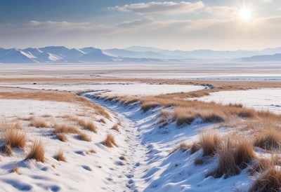 Scenic winter landscape with snow-covered fields