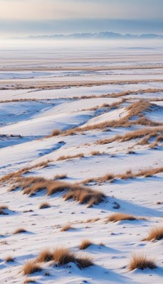 Snowy plains and distant mountains in winter