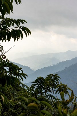 Scenic mountain view with misty landscapes in the morning