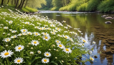 Wildflowers by tranquil riverbank