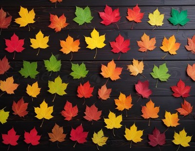 Colorful leaves on dark background