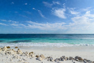 Serene beach with clear blue water