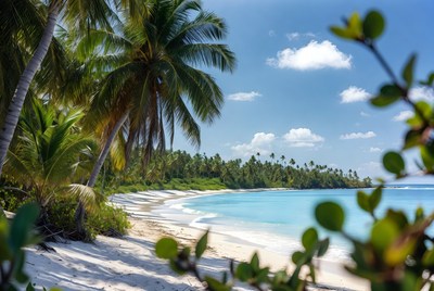 Tropical beach scene with palm trees