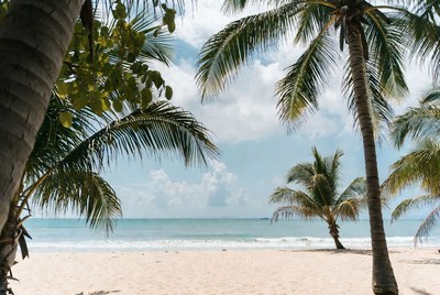 Peaceful beach with palm trees