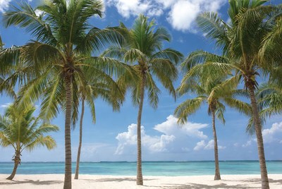 Tropical beach with swaying palms