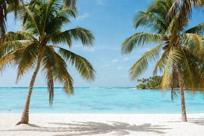 Tropical beach with palm trees and clear water