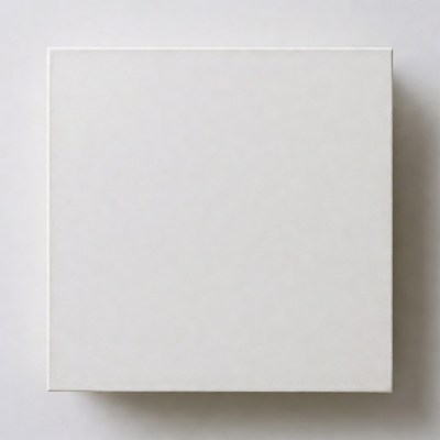 Blank canvas on white wall