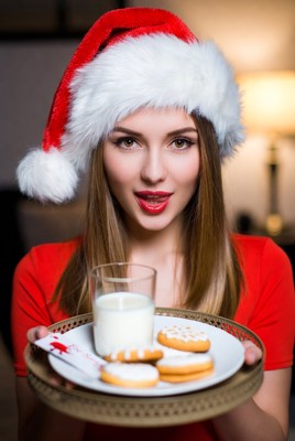 Holiday celebration with cookies and milk