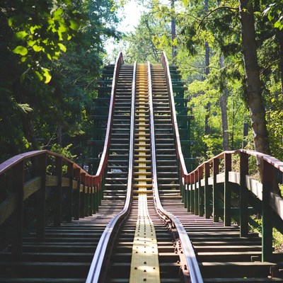 Roller coaster path through forest