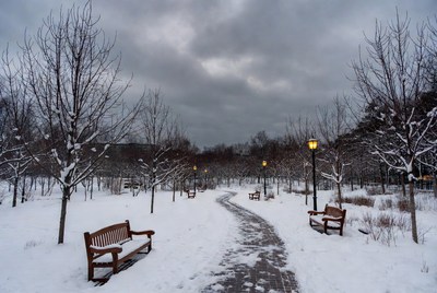 Winter pathway in a snowy park