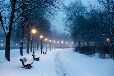 Winter evening in a snowy park