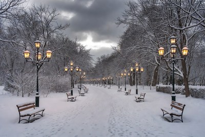 Snowy park pathway at dusk