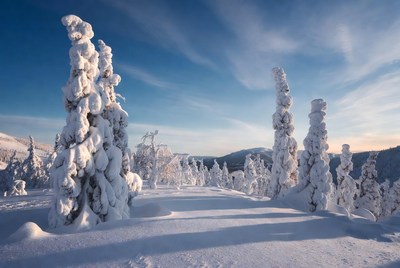 Winter landscape with snow-covered trees