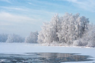 Winter landscape with frosty trees