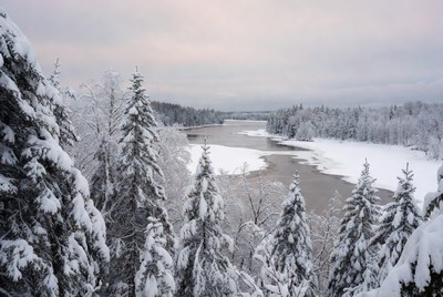 Winter landscape by the river