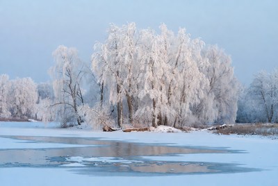 Winter landscape with frosted trees
