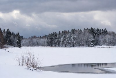 Winter landscape with snowy trees