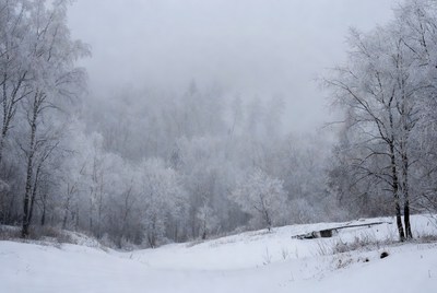 Snowy winter landscape in fog