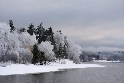 Winter landscape by the river