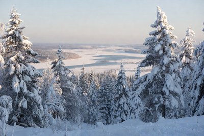 Winter landscape with snow-covered trees