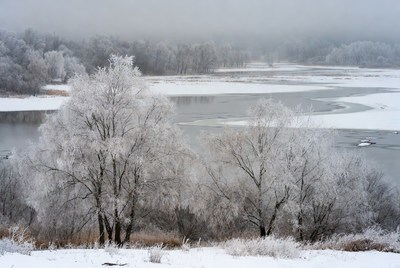 Frosty trees by quiet river