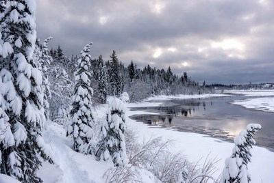 Snowy landscape by frozen river